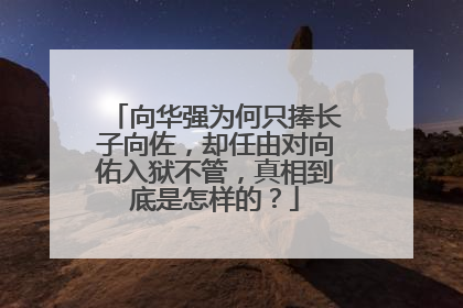 向华强为何只捧长子向佐，却任由对向佑入狱不管，真相到底是怎样的？