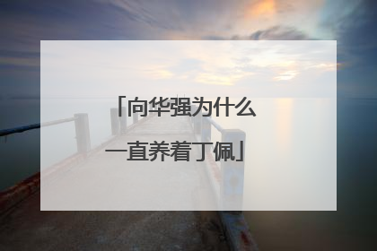 向华强为什么一直养着丁佩