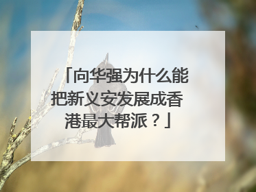 向华强为什么能把新义安发展成香港最大帮派？