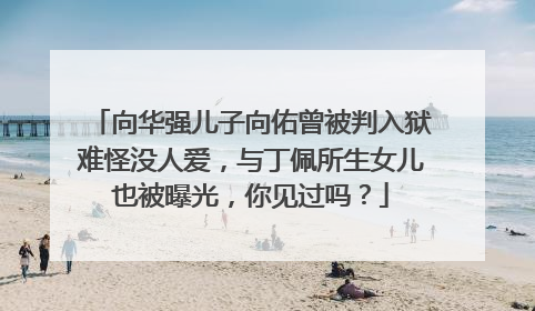 向华强儿子向佑曾被判入狱难怪没人爱，与丁佩所生女儿也被曝光，你见过吗？