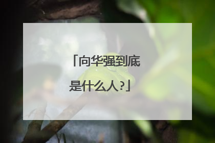 向华强到底是什么人?