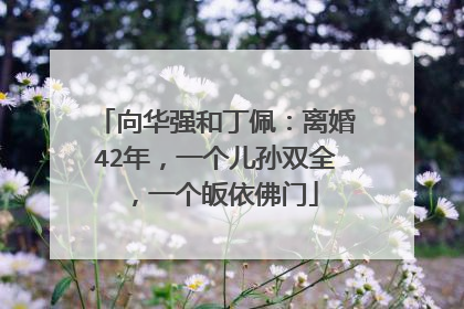 向华强和丁佩：离婚42年，一个儿孙双全，一个皈依佛门