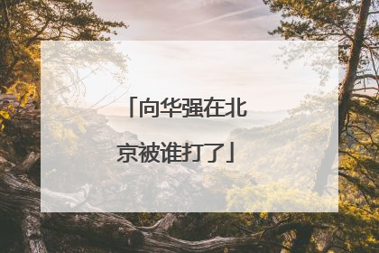 向华强在北京被谁打了