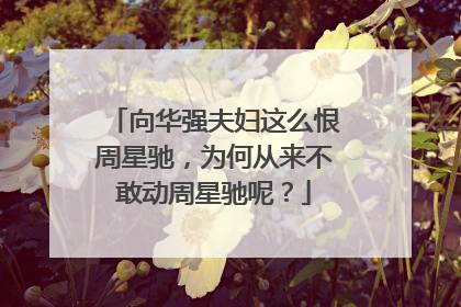 向华强夫妇这么恨周星驰,为何从来不敢动周星驰呢?