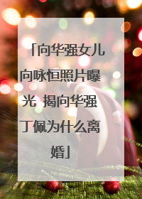 向华强女儿向咏恒照片曝光 揭向华强丁佩为什么离婚