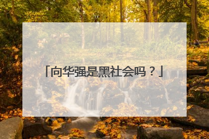 向华强是黑社会吗？