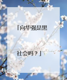 向华强是黑社会吗?