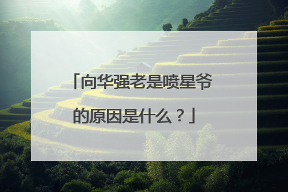 向华强老是喷星爷的原因是什么?