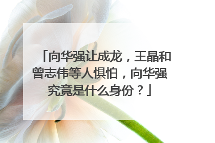 向华强让成龙，王晶和曾志伟等人惧怕，向华强究竟是什么身份？