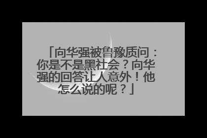 向华强被鲁豫质问：你是不是黑社会？向华强的回答让人意外！他怎么说的呢？