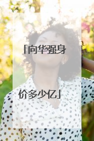 向华强身价多少亿