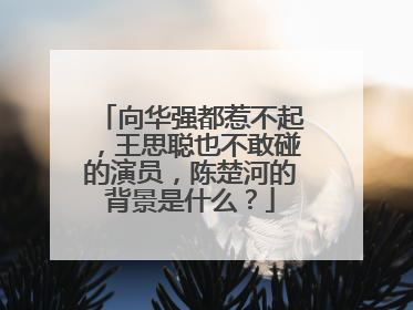 向华强都惹不起,王思聪也不敢碰的演员,陈楚河的背景是什么?