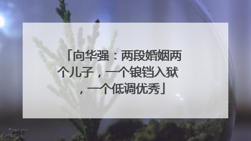 向华强：两段婚姻两个儿子，一个锒铛入狱，一个低调优秀