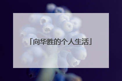 向华胜的个人生活