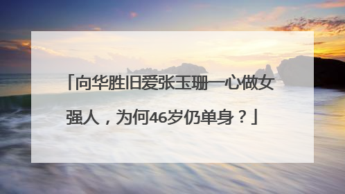 向华胜旧爱张玉珊一心做女强人，为何46岁仍单身？