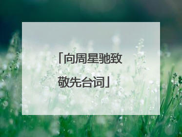 向周星驰致敬先台词