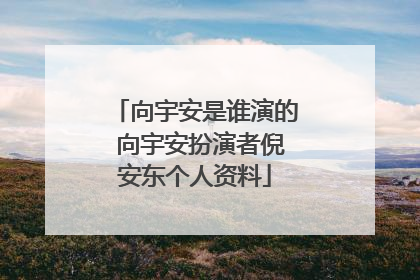 向宇安是谁演的 向宇安扮演者倪安东个人资料