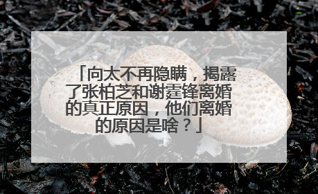 向太不再隐瞒，揭露了张柏芝和谢霆锋离婚的真正原因，他们离婚的原因是啥？