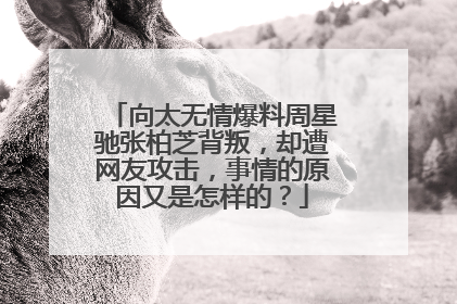 向太无情爆料周星驰张柏芝背叛,却遭网友攻击,事情的原因又是怎样的?