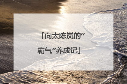 向太陈岚的“霸气”养成记