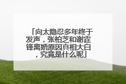 向太隐忍多年终于发声,张柏芝和谢霆锋离婚原因真相大白,究竟是什么呢