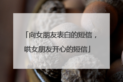 向女朋友表白的短信,哄女朋友开心的短信