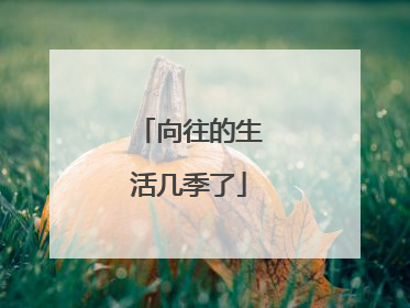 向往的生活几季了