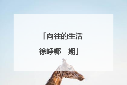 向往的生活徐峥哪一期