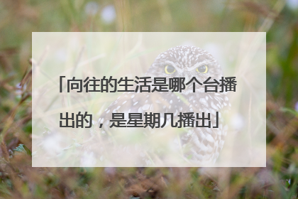 向往的生活是哪个台播出的,是星期几播出