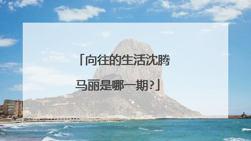 向往的生活沈腾马丽是哪一期?