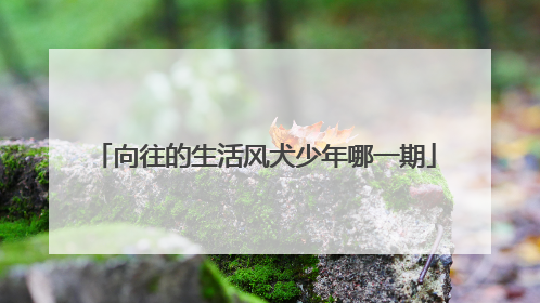 向往的生活风犬少年哪一期