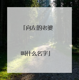 向左的老婆叫什么名字