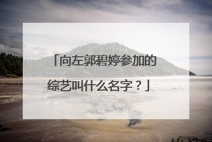 向左郭碧婷参加的综艺叫什么名字?