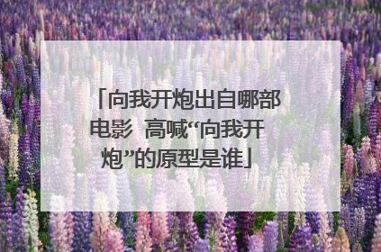 向我开炮出自哪部电影 高喊“向我开炮”的原型是谁