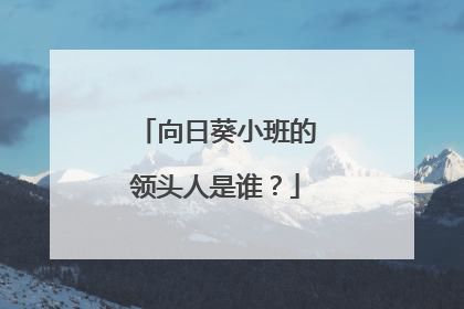 向日葵小班的领头人是谁？
