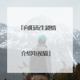 向阳而生剧情介绍电视猫