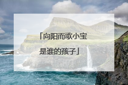 向阳而歌小宝是谁的孩子
