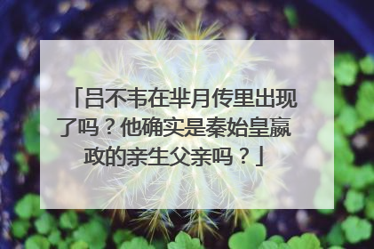 吕不韦在芈月传里出现了吗?他确实是秦始皇嬴政的亲生父亲吗?