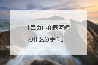 吕良伟和周海媚为什么分手？