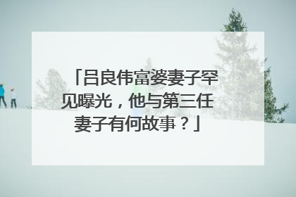 吕良伟富婆妻子罕见曝光,他与第三任妻子有何故事?