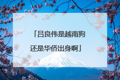 吕良伟是越南狗还是华侨出身啊