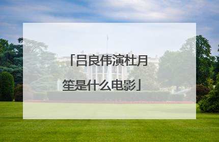 吕良伟演杜月笙是什么电影