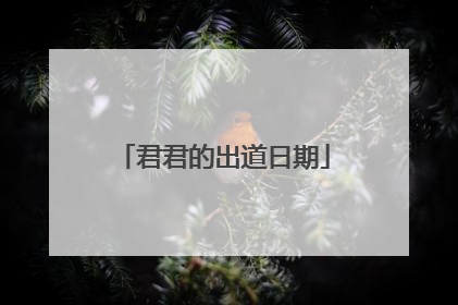 君君的出道日期