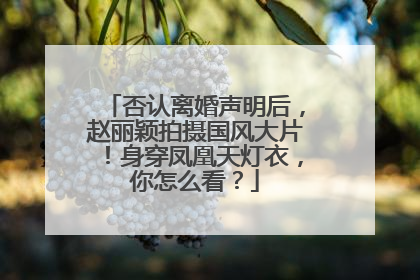 否认离婚声明后，赵丽颖拍摄国风大片！身穿凤凰天灯衣，你怎么看？