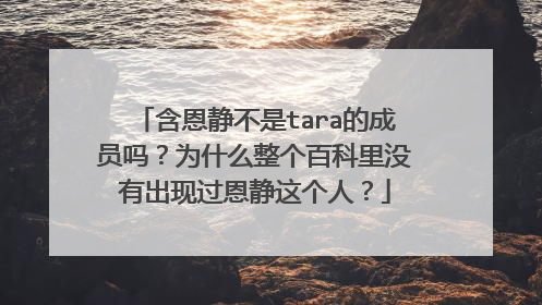 含恩静不是tara的成员吗?为什么整个百科里没有出现过恩静这个人?