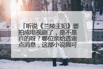 听说《兰陵王妃》要拍成电视剧了，是不是真的呀？哪位亲给透露点消息，这部小说我可是追了好久哦~~