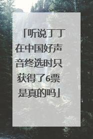 听说丁丁在中国好声音终选时只获得了6票是真的吗