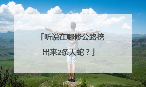 听说在哪修公路挖出来2条大蛇？