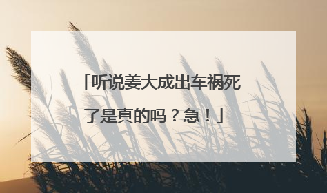 听说姜大成出车祸死了是真的吗?急!