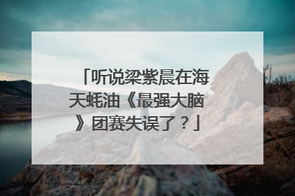听说梁紫晨在海天蚝油《最强大脑》团赛失误了?